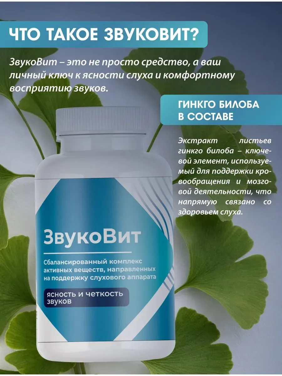 Слуховой комплекс ЗвукоВит: состав, приём, эффект Слуховой комплекс ЗвукоВит: состав, приём, эффект
