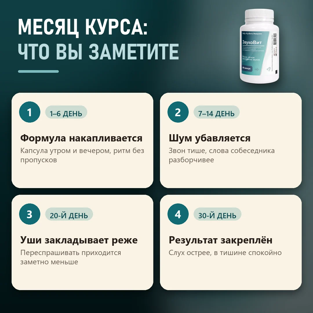 Что меняется за курс Звуковит
